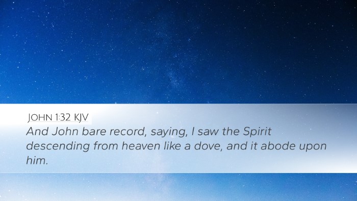 John 1:32 KJV Bible Verse Image