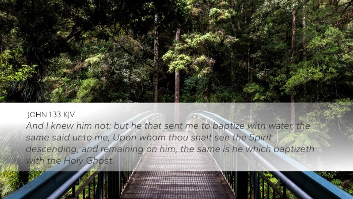 John 1:33 KJV Bible Verse Image