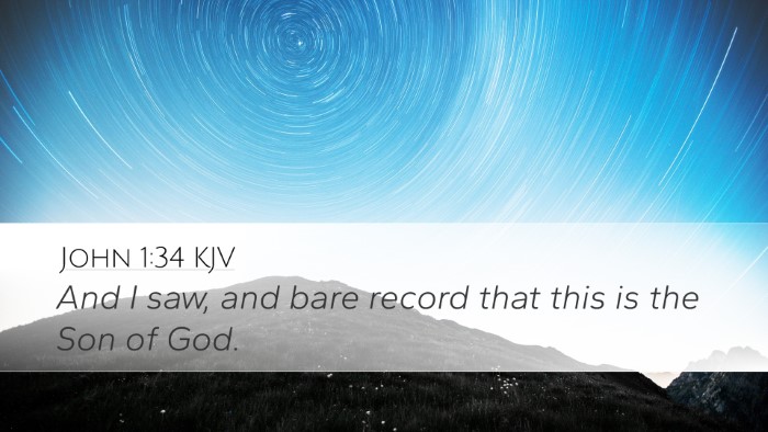 John 1:34 KJV Bible Verse Image