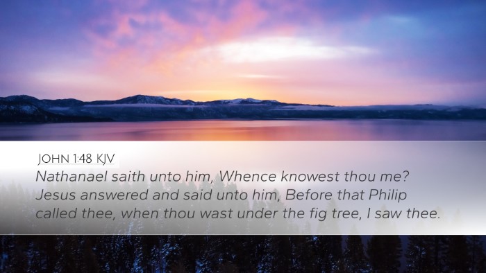John 1:48 KJV Bible Verse Image