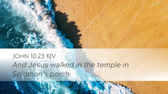 John 10:23 KJV Bible Verse Image