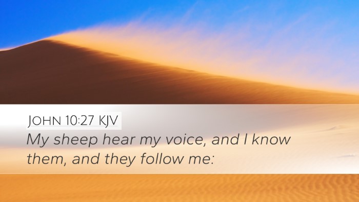 John 10:27 KJV Bible Verse Image