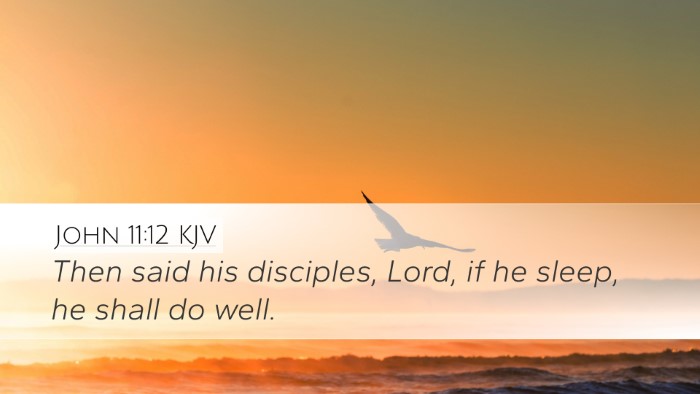 John 11:12 KJV Desktop Wallpaper - Then said his disciples, Lord, if he sleep, he - Desktop Bible Verse Wallpaper