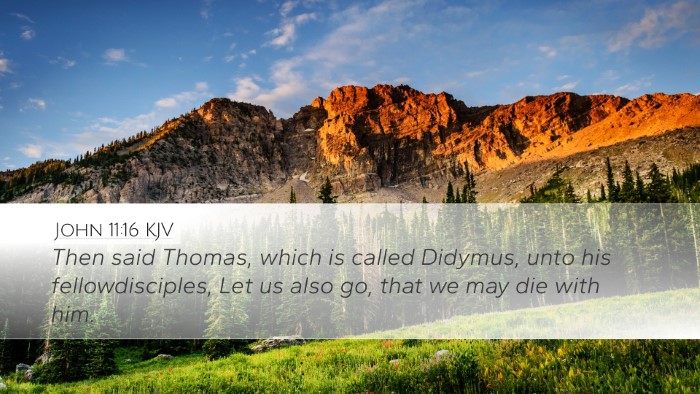 John 11:16 KJV Bible Verse Image
