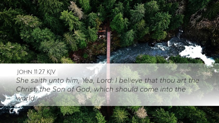 John 11:27 KJV Bible Verse Image