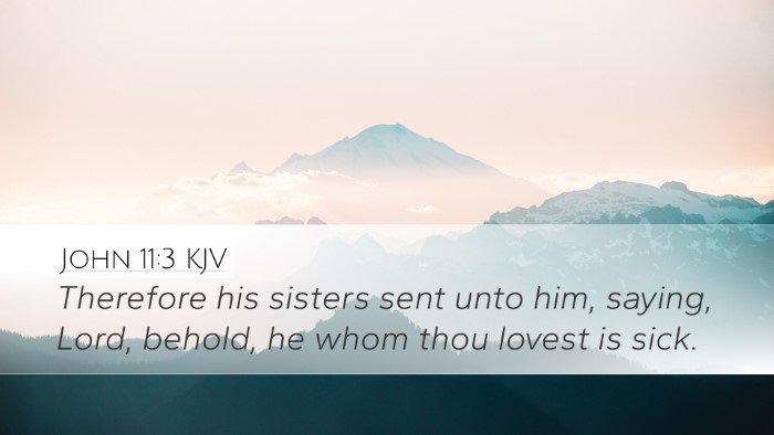 John 11:3 KJV Bible Verse Image