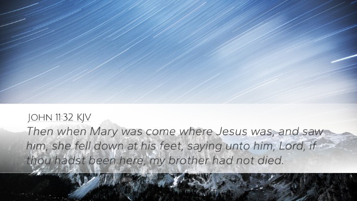 John 11:32 KJV Bible Verse Image