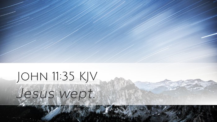 John 11:35 KJV Bible Verse Image