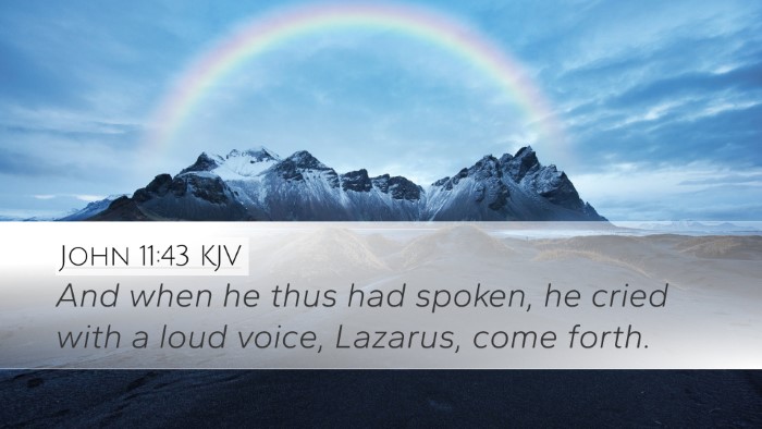 John 11:43 KJV Bible Verse Image