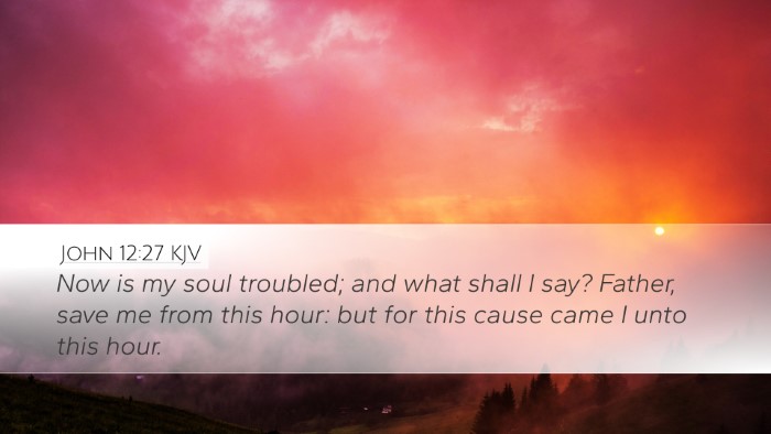 John 12:27 KJV Bible Verse Image