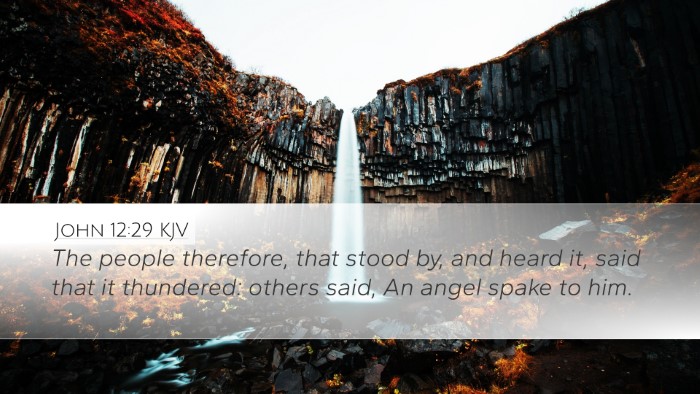 John 12:29 KJV Bible Verse Image