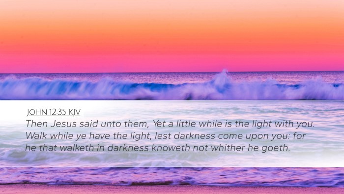 John 12:35 KJV Bible Verse Image