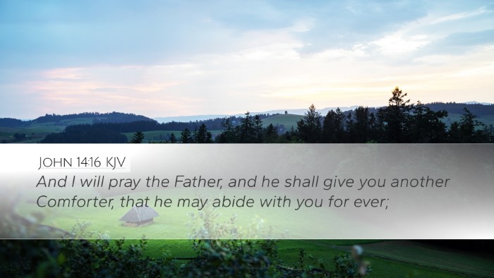 John 14:16 KJV Bible Verse Image