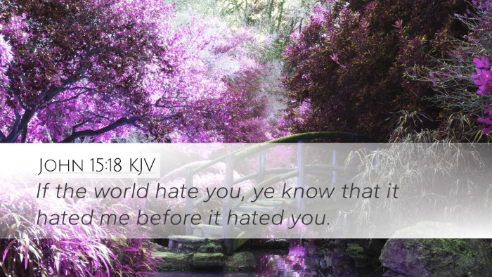 John 15:18 KJV Bible Verse Image