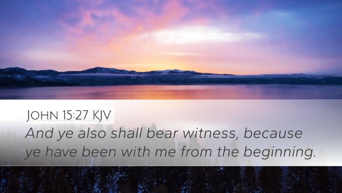 John 15:27 KJV Bible Verse Image