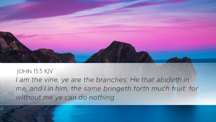 John 15:5 KJV Bible Verse Image