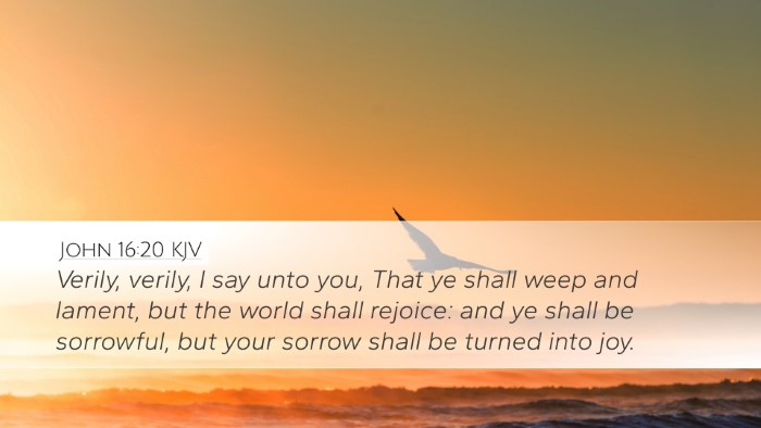 John 16:20 KJV Bible Verse Image