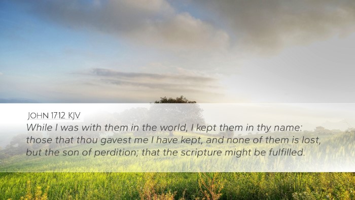 John 17:12 KJV Bible Verse Image