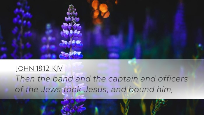 John 18:12 KJV Bible Verse Image