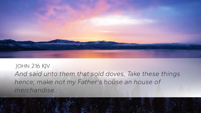 John 2:16 KJV Bible Verse Image