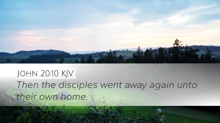 John 20:10 KJV Desktop Wallpaper - Then the disciples went away again unto their own - Desktop Bible Verse Wallpaper