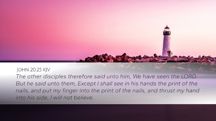 John 20:25 KJV Bible Verse Image