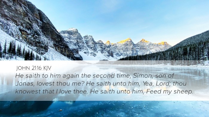 John 21:16 KJV Desktop Wallpaper - He saith to him again the second time, Simon, son - Desktop Bible Verse Wallpaper