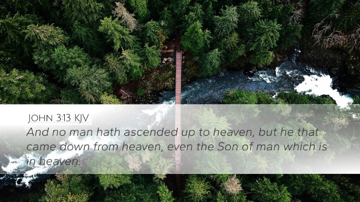 John 3:13 KJV Bible Verse Image
