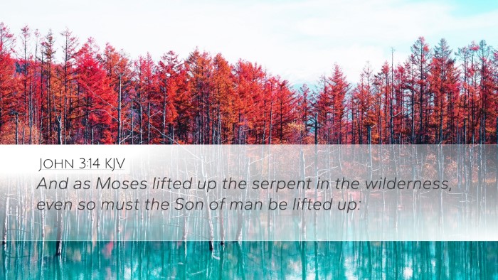 John 3:14 KJV Bible Verse Image