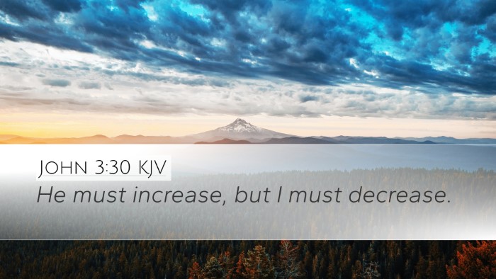 John 3:30 KJV Bible Verse Image