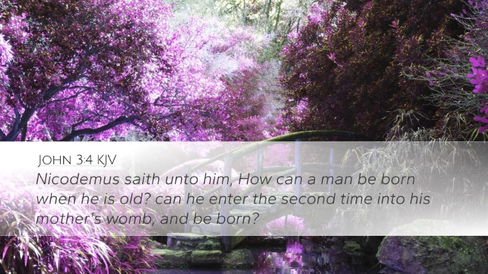 John 3:4 KJV Desktop Wallpaper - Nicodemus saith unto him, How can a man be born - Desktop Bible Verse Wallpaper