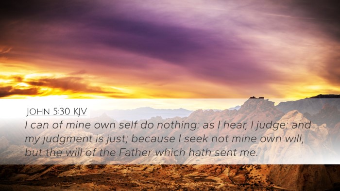 John 5:30 KJV Bible Verse Image