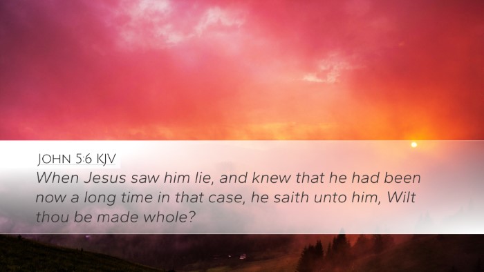 John 5:6 KJV Desktop Wallpaper - When Jesus saw him lie, and knew that he had been - Desktop Bible Verse Wallpaper