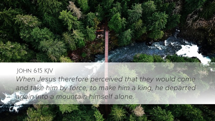 John 6:15 KJV Bible Verse Image