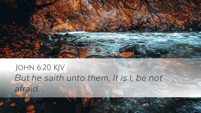 John 6:20 KJV Bible Verse Image