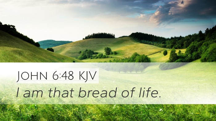 John 6:48 KJV Bible Verse Image