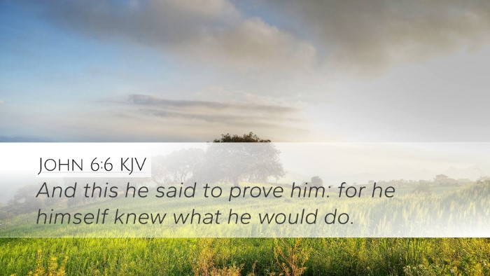 John 6:6 KJV Bible Verse Image
