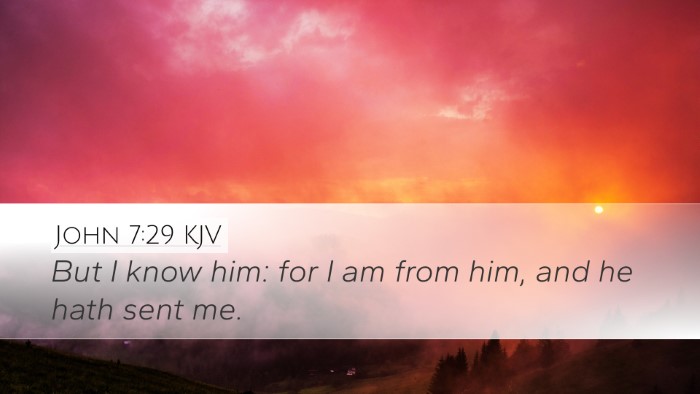 John 7:29 KJV Bible Verse Image