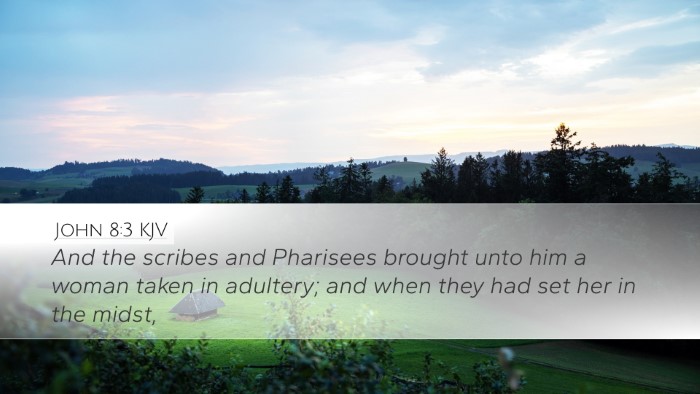 John 8:3 KJV Bible Verse Image