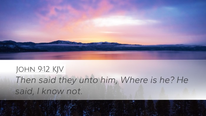 John 9:12 KJV Desktop Wallpaper - Then said they unto him, Where is he? He said, I - Desktop Bible Verse Wallpaper