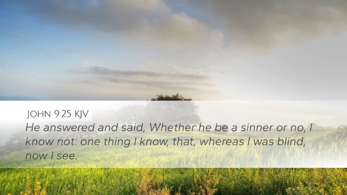 John 9:25 KJV Bible Verse Image