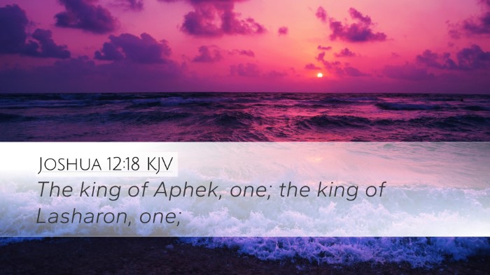 Joshua 12:18 KJV Bible Verse Image