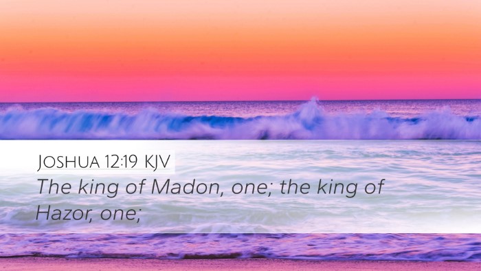 Joshua 12:19 KJV Bible Verse Image