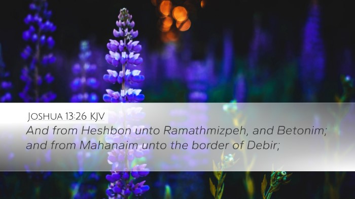 Joshua 13:26 KJV Desktop Wallpaper - And from Heshbon unto Ramathmizpeh, and Betonim; - Desktop Bible Verse Wallpaper