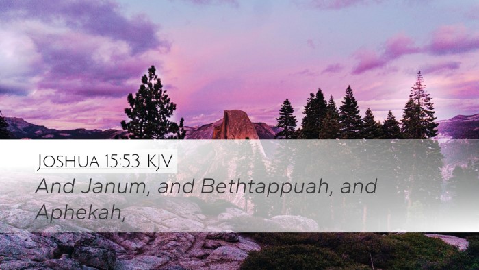 Joshua 15:53 KJV Bible Verse Image