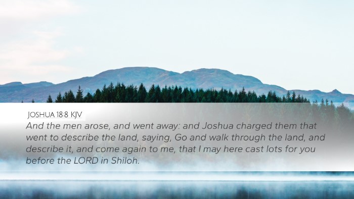 Joshua 18:8 KJV Bible Verse Image