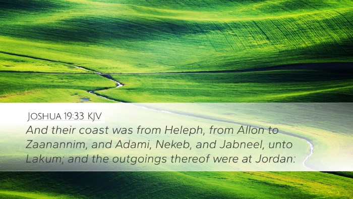 Joshua 19:33 KJV Desktop Wallpaper - And their coast was from Heleph, from Allon to - Desktop Bible Verse Wallpaper
