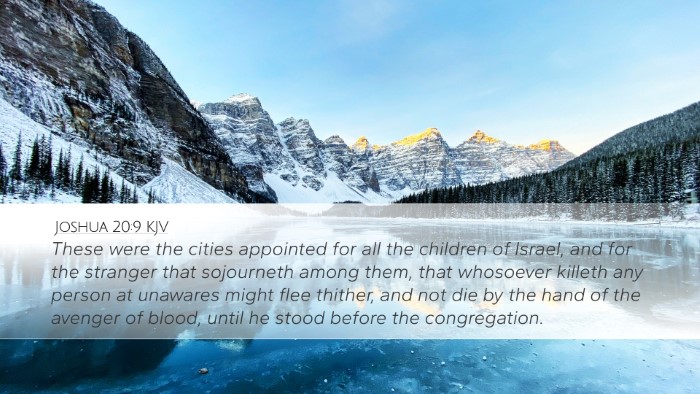Joshua 20:9 KJV Bible Verse Image
