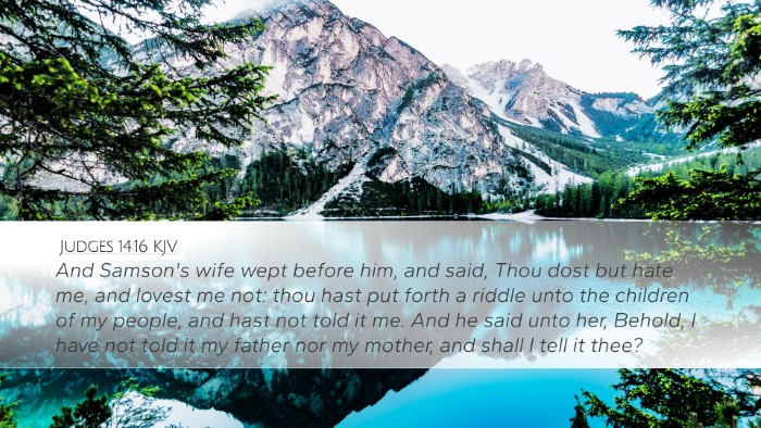 Judges 14:16 KJV Bible Verse Image