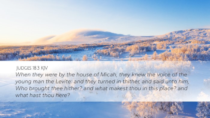 Judges 18:3 KJV Bible Verse Image